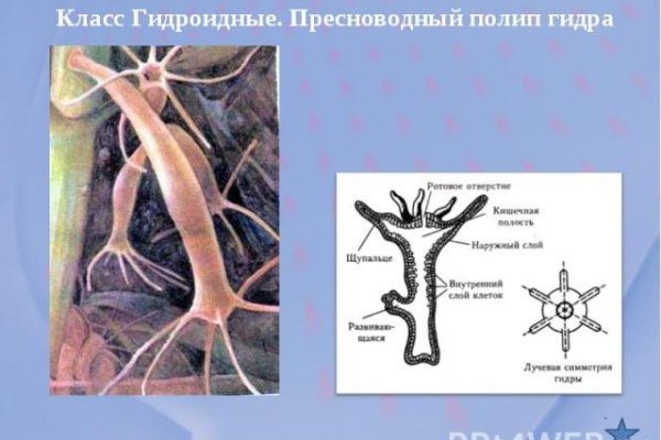 Как восстановить доступ к аккаунту кракен