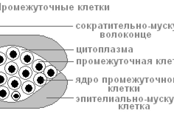 Как восстановить доступ к кракену