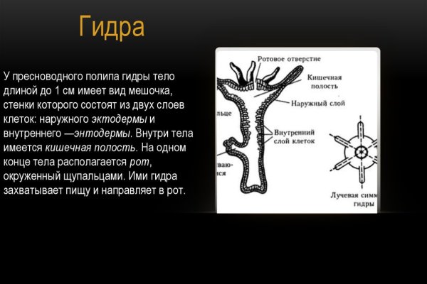 Как зайти в даркнет с тор браузера